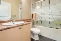47264 VISTA PLACE - thumbnail 22