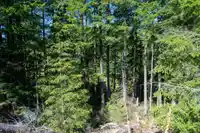 360 SALAL ROAD - thumbnail 33