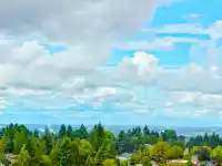 1911 10448 UNIVERSITY DRIVE - thumbnail 1