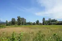 27612 RIVER ROAD - thumbnail 14