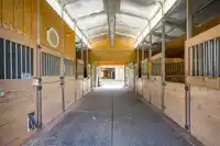 3643 254 STREET - thumbnail 30