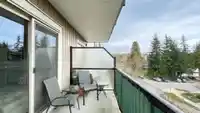 308 22290 NORTH AVENUE - thumbnail 13