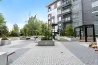 301 8117 200A STREET - thumbnail 36