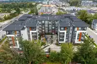 301 8117 200A STREET - thumbnail 37