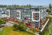 301 8117 200A STREET - thumbnail 38