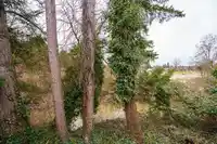 3 20848 DOUGLAS CRESCENT - thumbnail 27
