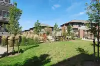 411 6815 188 STREET - thumbnail 24