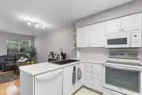 12 16318 82 AVENUE - thumbnail 27
