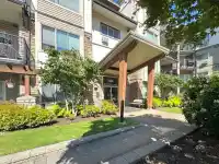 404 11935 BURNETT STREET - thumbnail 1