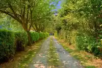 21810 132 AVENUE - thumbnail 26