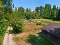 21810 132 AVENUE - thumbnail 9