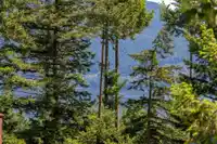 342 CREEK ROAD - thumbnail 6
