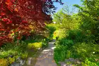 1177 ADAMS ROAD - thumbnail 31