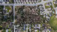 7816 DUNSMUIR STREET - thumbnail 8