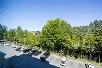 311 12148 224 STREET - thumbnail 31