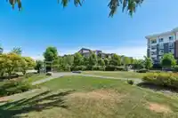 228 8157 207 STREET - thumbnail 20