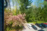 8328 ASPENWOOD PLACE - thumbnail 24