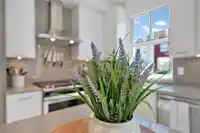 118 24076 112 AVENUE - thumbnail 39