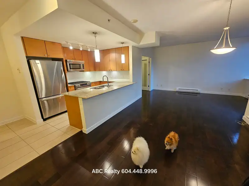 301 7362 ELMBRIDGE WAY - photo 2 of 31