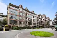 336 8288 207A STREET - thumbnail 34