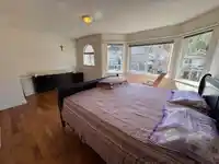 8780 206 STREET - thumbnail 16