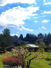 20653 85 AVENUE - thumbnail 38