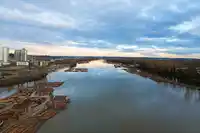 301 3138 RIVERWALK AVENUE - thumbnail 29