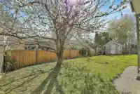 8546 164 STREET - thumbnail 3