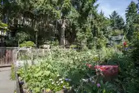 2 1152 COMOX STREET - thumbnail 35