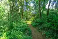 23659 53A AVENUE - thumbnail 38