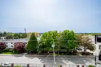 507 20696 EASTLEIGH CRESCENT - thumbnail 21