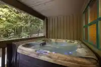 43D 4652 BLACKCOMB WAY - thumbnail 25