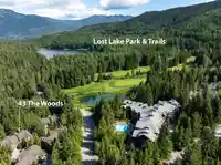 43D 4652 BLACKCOMB WAY - thumbnail 35