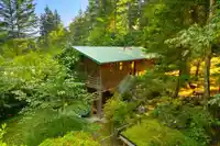 368 EAGLES NEST ROAD - thumbnail 35