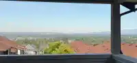 16 24850 106 AVENUE - thumbnail 26