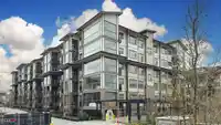 104 8538 203A STREET - thumbnail 30