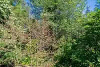 33 20038 70 AVENUE - thumbnail 6