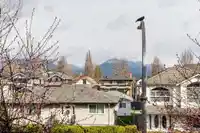 113 4238 ALBERT STREET - thumbnail 28