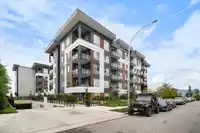 416 8117 200A STREET - thumbnail 3