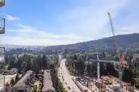 1805 520 COMO LAKE AVENUE - thumbnail 2
