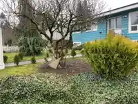 33232 HAWTHORNE AVENUE - thumbnail 32