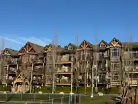 407 8328 207A STREET - thumbnail 3