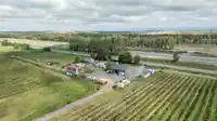 8442 LADNER TRUNK ROAD - thumbnail 15
