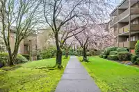 302 10662 151A STREET - thumbnail 34