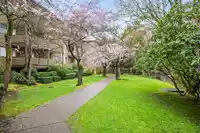 302 10662 151A STREET - thumbnail 35
