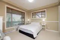266 8328 207A STREET - thumbnail 19