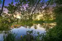 65 5900 FERRY ROAD - thumbnail 27