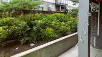 A104 20834 80 AVENUE - thumbnail 21