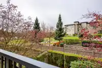 217 3178 DAYANEE SPRINGS BOULEVARD - thumbnail 22