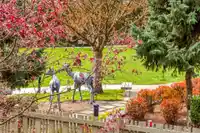 217 3178 DAYANEE SPRINGS BOULEVARD - thumbnail 23